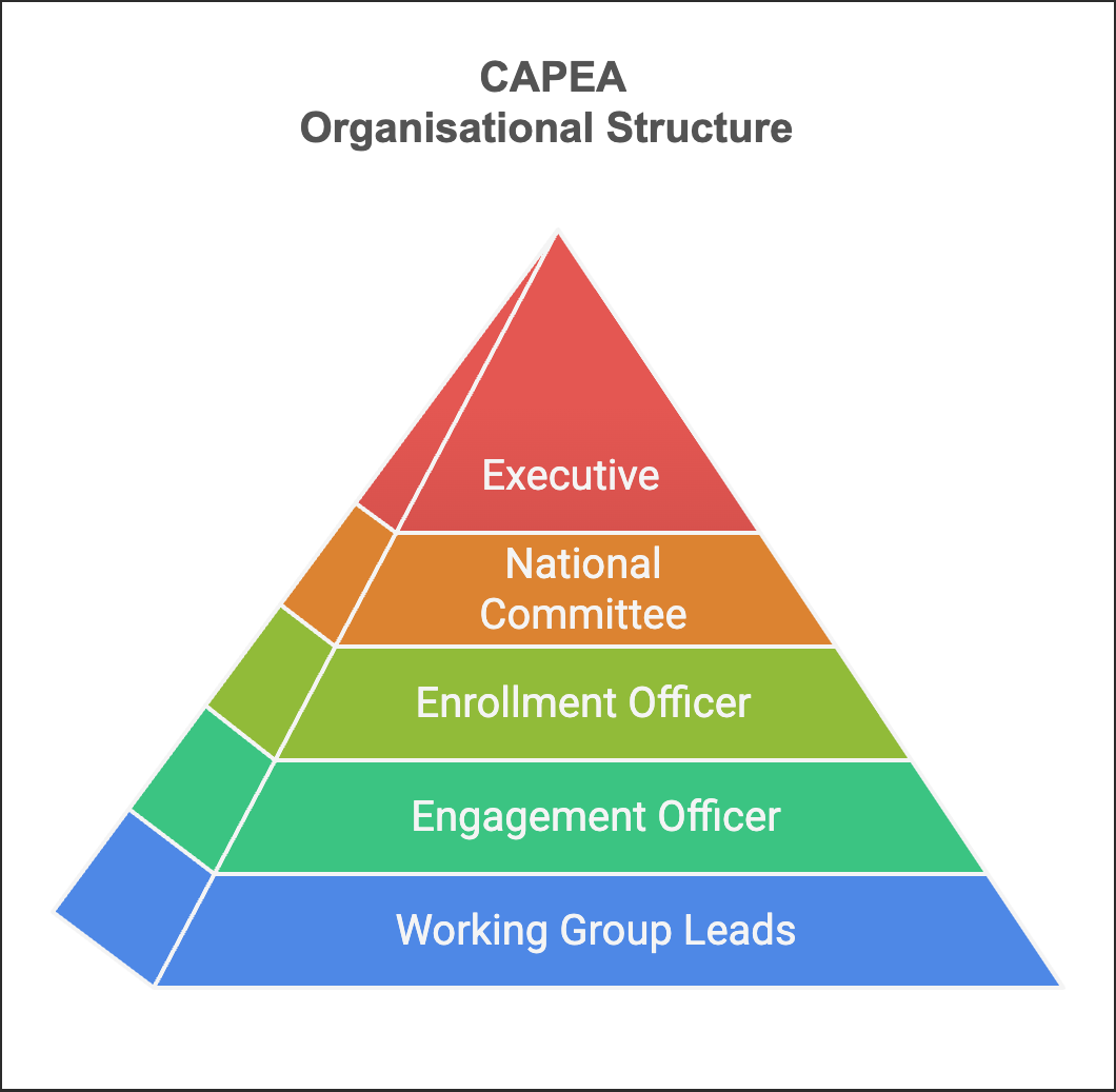 capea organisational structure - visual selection (3)